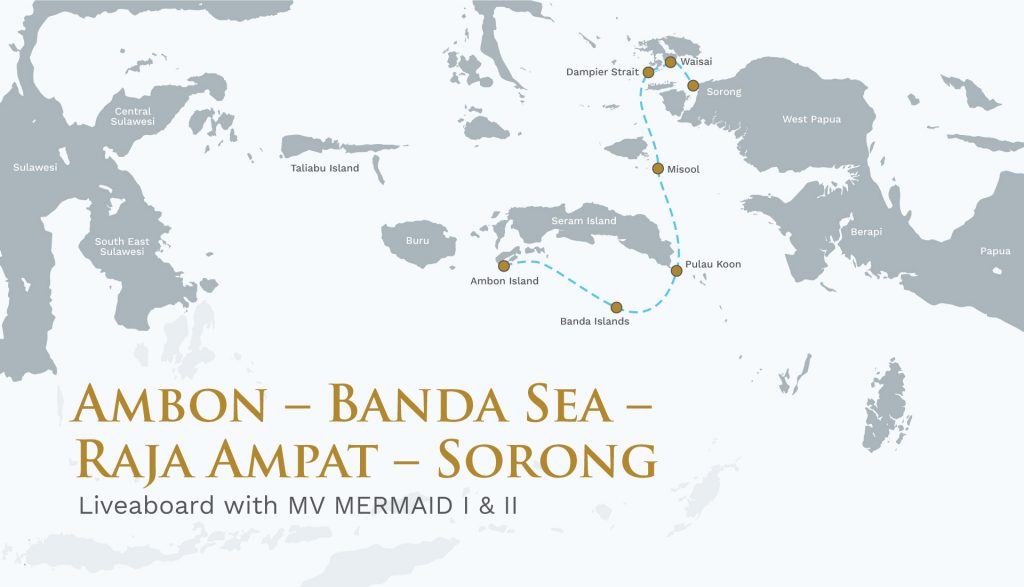 Ambon – Banda Sea – Raja Ampat