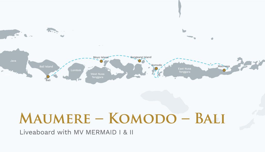 Maumere – Komodo – Bali