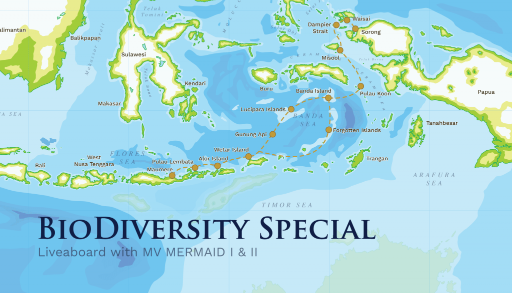 Biodiversity Super Special – Maumere – Alor – Banda Sea – Raja Ampat – 16 days