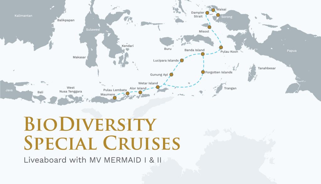 Biodiversity Super Special – Raja Ampat – Banda Sea – Alor – Maumere – 16 days