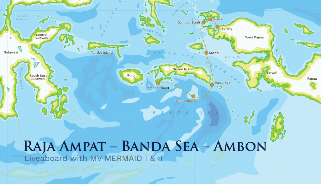 Raja Ampat – Banda Sea – Ambon