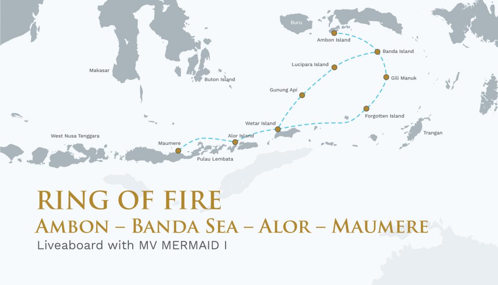 Biodiversity Special Ring of Fire – Ambon – Banda Sea  – Alor- Maumere – 12 days