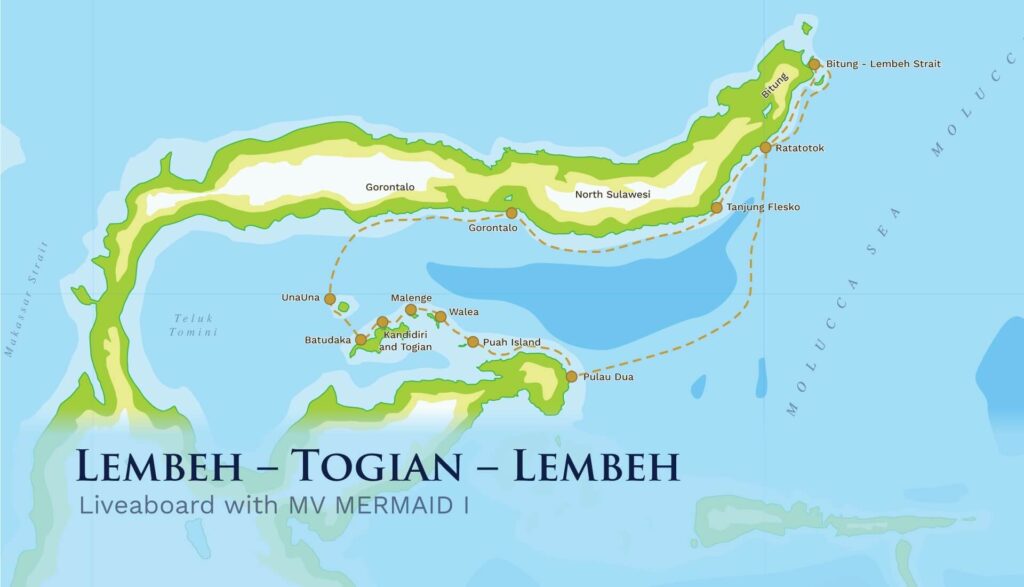 Lembeh –  Togian – Lembeh with Whale Sharks