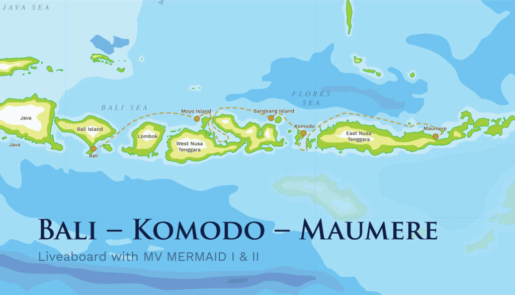 Bali-Komodo-Maumere with Whale Sharks of Saleh Bay – 10 days