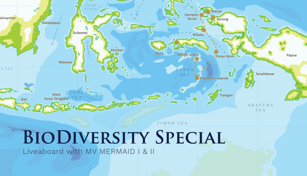 Biodiversity Super Special Raja Ampat-Banda Sea-Forgotten Islands-Ambon – 16 days